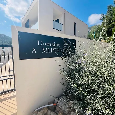 Muvrella Calvi *